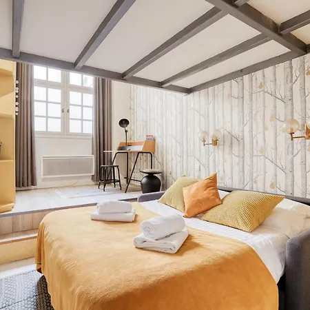 Unique Parisian Loft At The Classy St Germain פריז